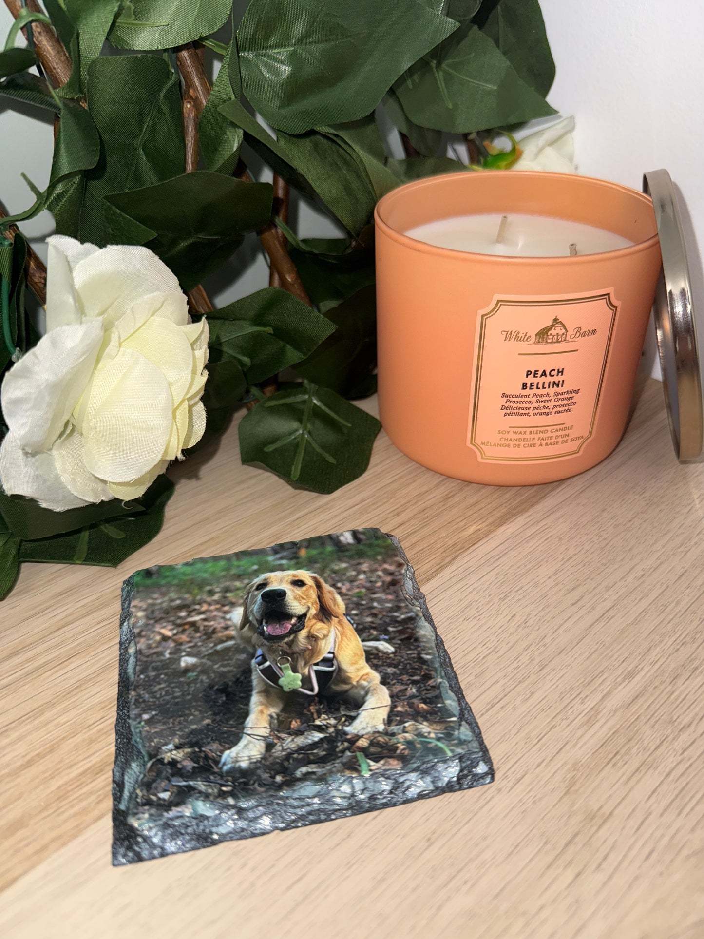 Photo Coasters - Personalized